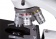 Mikroskop-Levenhuk-MED-10M-monokulyarnij_11