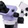 84847_magus-stereo-7br-stereomicroscope_04 84847_magus-stereo-7br-stereomicroscope_04