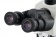 Mikroskop-cifrovoj-Levenhuk-MED-D40T-LCD-trinokulyarnij_6