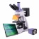magus-mikroskop-lyuminescentnyj-cifrovoj-lum-d400-lcd-1