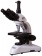 Mikroskop-Levenhuk-MED-25T-trinokulyarnij