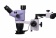 84844_magus-stereo-8tr-stereomicroscope_10 84844_magus-stereo-8tr-stereomicroscope_10