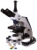 Mikroskop-Levenhuk-MED-35T-trinokulyarnij_1