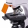 magus-mikroskop-lyuminescentnyj-cifrovoj-lum-d400l-13