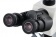 Mikroskop-cifrovoj-Levenhuk-MED-D45T-LCD-trinokulyarnij_6