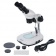 Mikroskop-Levenhuk-4ST-binokulyarnij_1