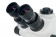 Mikroskop-Levenhuk-ZOOM-1T-trinokulyarnij_5