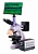 Микроскоп люминесцентный цифровой MAGUS Lum D400 LCD