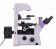 magus-mikroskop-lyuminescentnyj-invertirovannyj-cifrovoj-lum-vd500-6