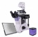 magus-mikroskop-biologicheskij-invertirovannyj-cifrovoj-bio-vd350-lcd-1 magus-mikroskop-biologicheskij-invertirovannyj-cifrovoj-bio-vd350-lcd-1