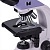 Микроскоп биологический Magus Bio 250TL