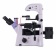 magus-mikroskop-lyuminescentnyj-invertirovannyj-cifrovoj-lum-vd500-8