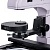 Микроскоп люминесцентный инвертированный Magus Lum V500L